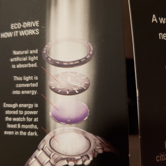 Citizen Watch (Women's) - Picture 4 of 7